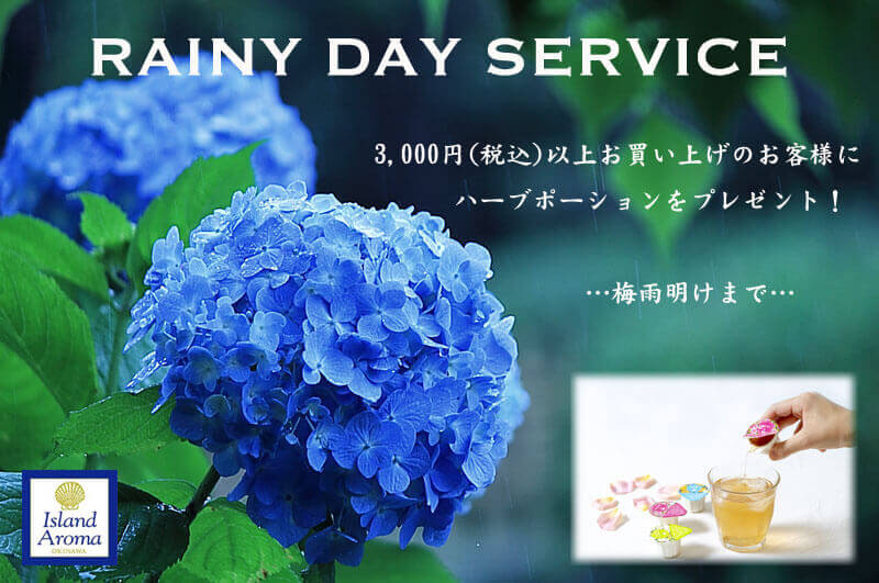 梅雨のサービス2019